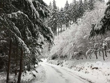 Chata v lese - Javornky - Leskov - Beskydy