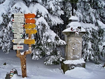 Roubenka Krkonoe - Rchorsk prales - acl