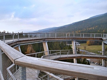 Roubenka Krkonoe - Rchorsk prales - acl