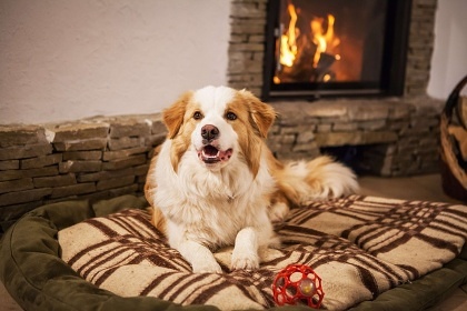 Wellness chata Nízké Tatry - Bystrianská jeskyně