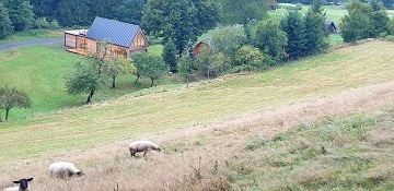 Chata u lesa - Velké Karlovice - Beskydy