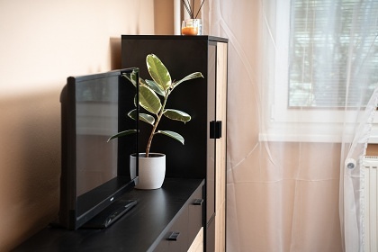 Chalupa u Sobot�nsk�ho z�mku - CHKO Jesen�ky