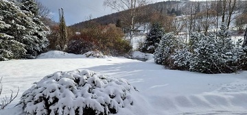 Srub bazén a sauna - Jeseníky - Zlaté Hory