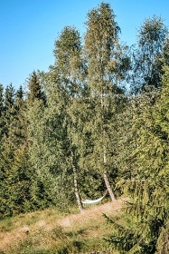 Chata na samot - wellness a jezrko - Beskydy