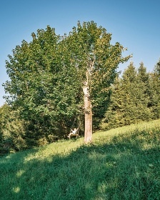 Chata na samot - wellness a jezrko - Beskydy