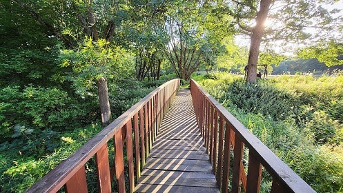 Chalupa wellness a rybnk - Tel - Mrkotn