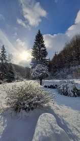 Chalupa s vířivkou - Jeseníky - Kouty nad Desnou