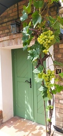 Chalupa a vinn sklep - u pehrady Nov Mlny