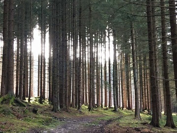 Chata se saunou - pehrada Hracholusky