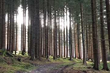 Chata u vody - pehrada Hracholusky - Plzesk ZOO