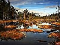 Chata Jesen�ky - Velk� mechov� jez�rko