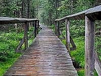 Chata Jesen�ky - Velk� mechov� jez�rko