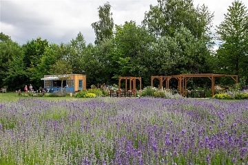 Glamping Lad�v kraj - ���any - z�mek Konopi�t�