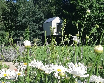 Glamping Lad�v kraj - ���any - z�mek Konopi�t�