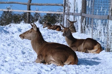 Chalupa rsk vrchy - Roeneck Paseky
