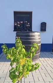 Chata vinn� sklep - P�lava - Mikulov Svat� kope�ek