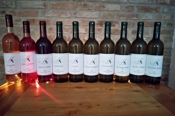 Chata vinn� sklep - P�lava - Mikulov Svat� kope�ek