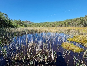 Chata U Davida 5 - Doksy - Máchovo jezero