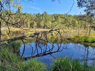 Chata U Davida 5 - Doksy - Máchovo jezero