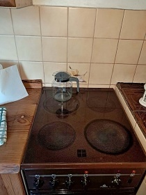 Chata Vysoký Potok - Malá Morava - Jeseníky