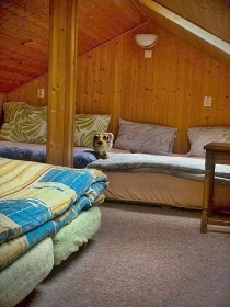 Chata samota u potoka - Vysok� Potok - Poho�elec