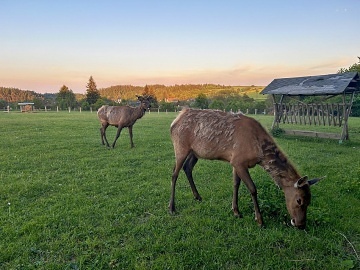 Glamping p�ehrada Slezsk� Harta - N�zk� Jesen�k