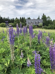 Rouben chalupa - Detn v Orlickch horch