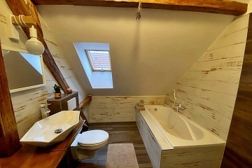 Rodinn� chalupa baz�n a wellness - ji�n� �echy