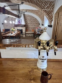 Rodinn� chalupa baz�n a wellness - ji�n� �echy