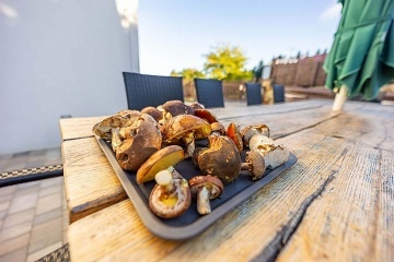 Chalupa wellness a vinn� sklep - Beskydsk� kopce