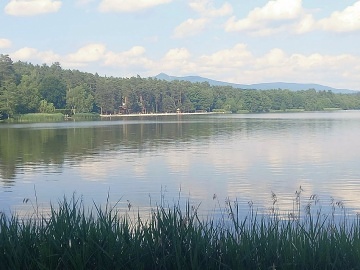 Chata s bazénem - Hamerské jezero - Osečná