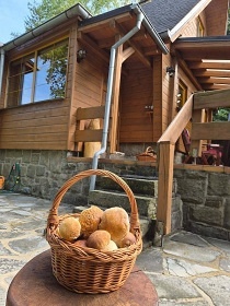 Chata s v��ivkou �eka - Javorov� vrch - Beskydy