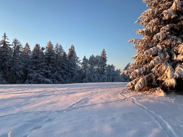 Krkonošská chata - Janské Lázně - Černá hora