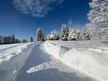 Krkonošská chata - Janské Lázně - Černá hora