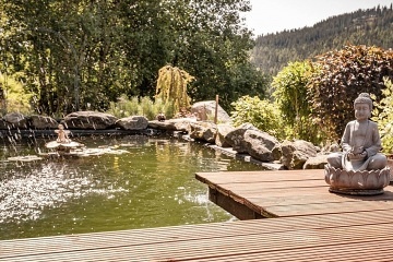 Roubenka se saunou - Pec pod Sněžkou - Velká Úpa