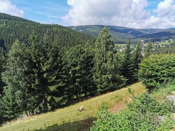 Roubenka se saunou - Pec pod Sněžkou - Velká Úpa