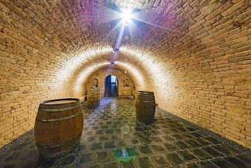 Chata a vinn� sklep - aquapark Hustope�e - P�lava