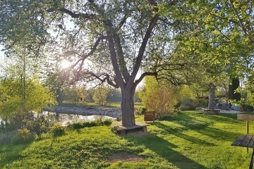 Chalupa u rybn�ka - Vyso�ina - Poles� - �irovnice