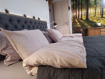 Chalupa u rybn�ka - Vyso�ina - Poles� - �irovnice