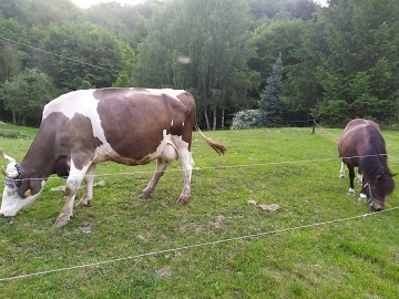 Chata Sklené Teplice - Štiavnické vrchy - Pustý hrad