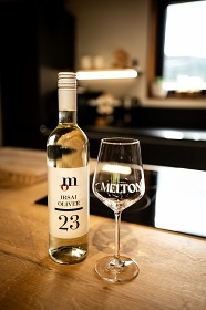 Wellness srub - term�ly Hrub� Jesen�k - Prad�d