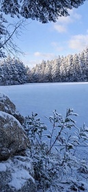 Chata s wellness u rybn�ka - Dale�ick� p�ehrada