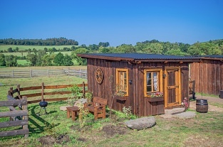 Whinny Wood - chatička, kde spíte s koněm