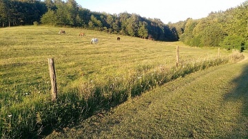 Chalupa �umavsk� samota - Ho�tice - Strakonicko