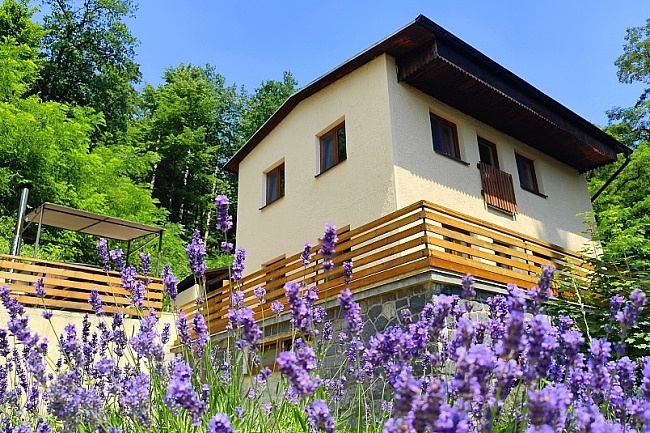 Chalupa wellness a bazén - Pyšely - Sázava