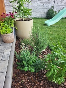 Chata s klimatizac� - Uher�ice - Hustope�e - P�lava