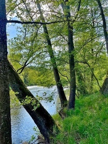 Glamping Krun hory - Ostrov - Karlovy Vary