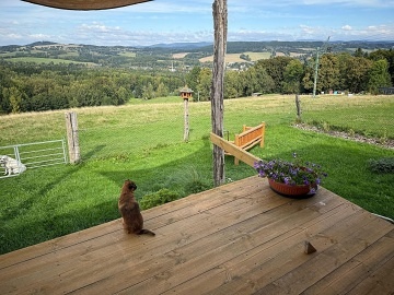 Glamping s mini ZOO - z�mek Sychrov - Fr�d�tejn