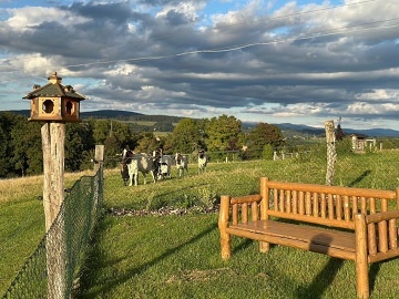 Glamping s mini ZOO - Jetd - Rychnov u Jablonce n. N.