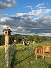 Glamping s mini ZOO - Jetd - Rychnov u Jablonce n. N.